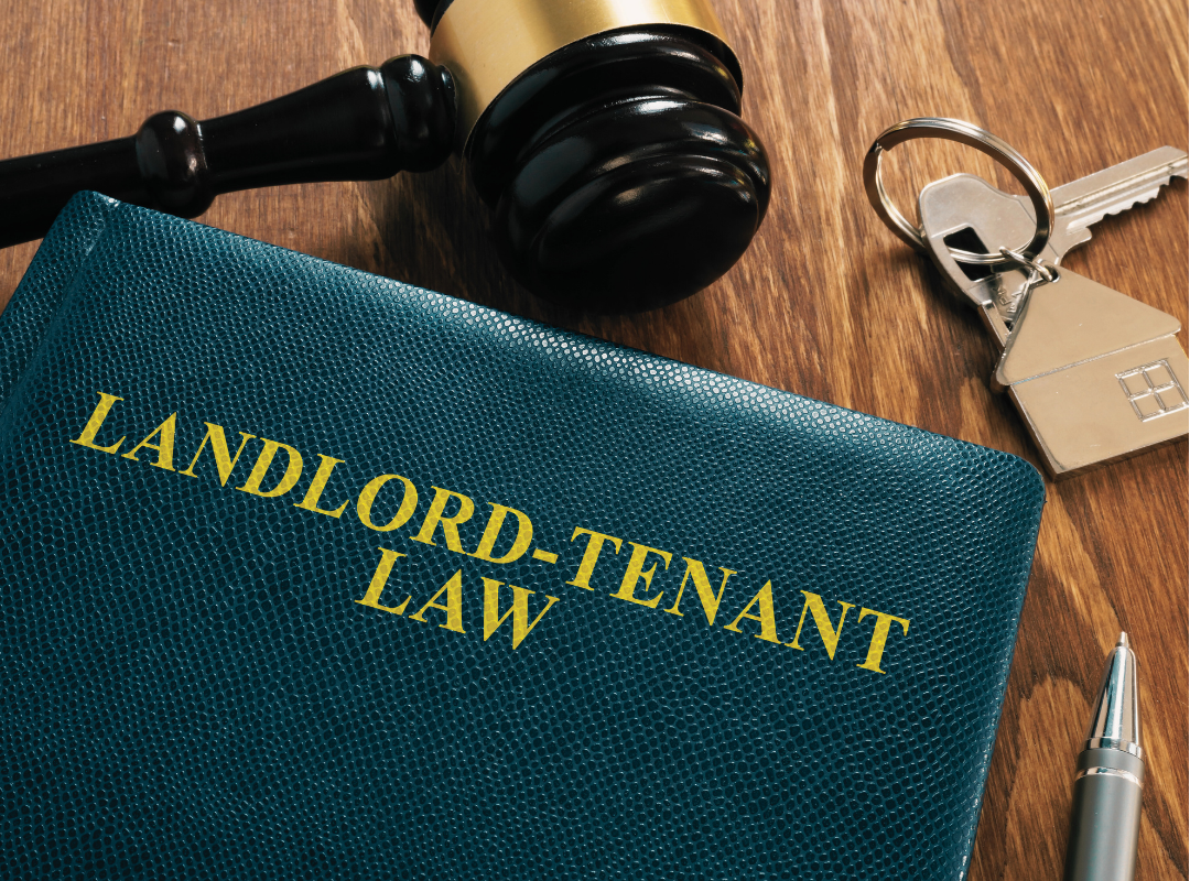 Renters rights bill